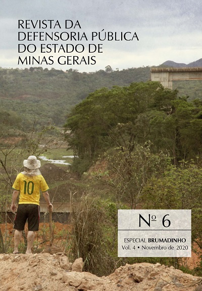 DPMG Revista 6 – Novembro 2020 Esp. BRUMADINHO